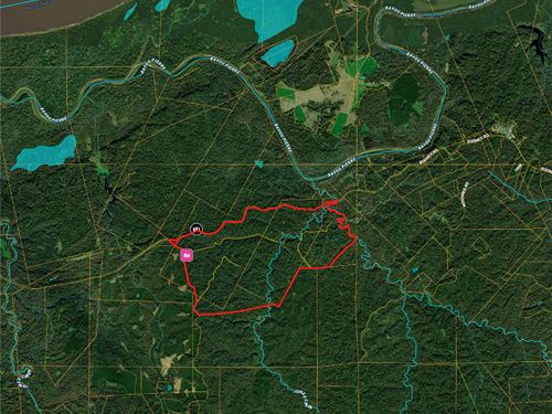 Rodney Road South Tract, 836 : Port Gibson : Claiborne County : Mississippi