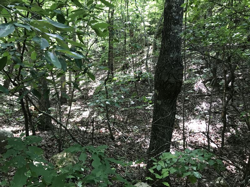 Incredible Views, Pine Log Mtn : Rydal : Bartow County : Georgia