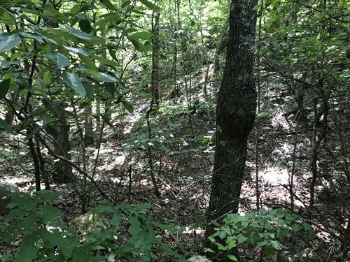 Incredible Views, Pine Log Mtn : Rydal : Bartow County : Georgia