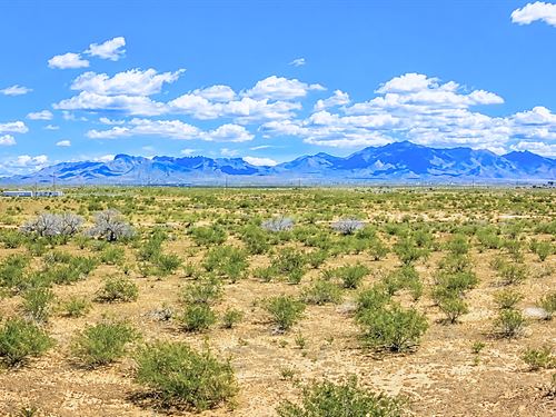 Prime Location, Easy Access by Hway : Dolan Springs : Mohave County : Arizona