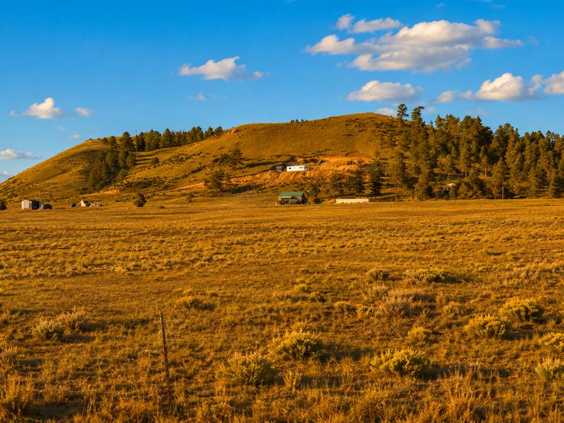 Scenic CO Camping Lot : Hartsel : Park County : Colorado