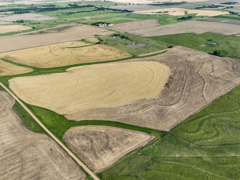 Barton County Cropland & Pasture : Pawnee Rock : Barton County : Kansas