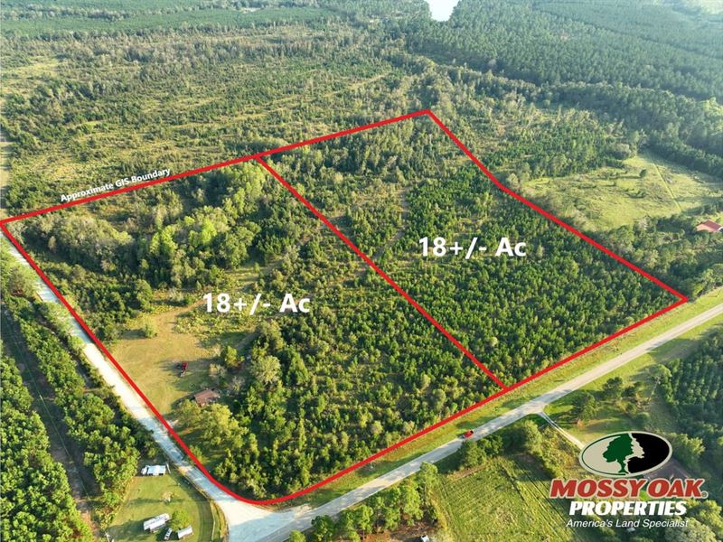 18 Ac Land for Sale Dodge Count : Eastman : Dodge County : Georgia