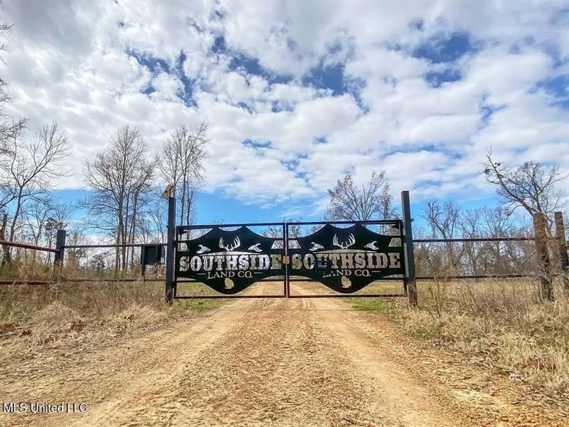 Jefferson County, MS Hunting Club : Lorman : Jefferson County : Mississippi