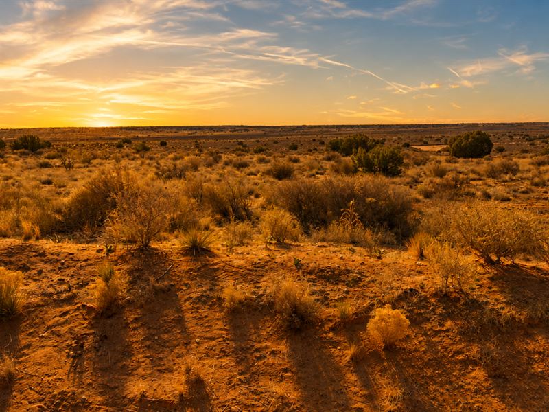 Scenic Lot Near Albuquerque : Rio Rancho : Sandoval County : New Mexico