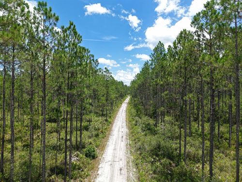 34.95 Ac Recreational Timberlan : Saint George : Charlton County : Georgia