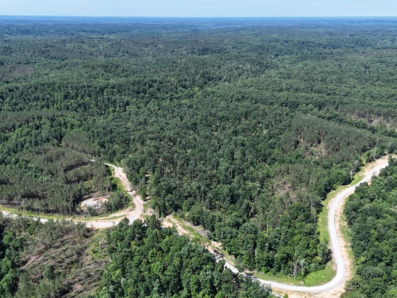 The Perry 50, Hunting, Outdoors, Ru : Linden : Perry County : Tennessee
