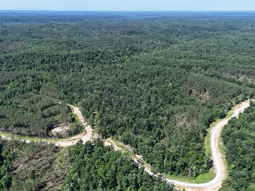The Perry 50, Hunting, Outdoors, Ru : Linden : Perry County : Tennessee