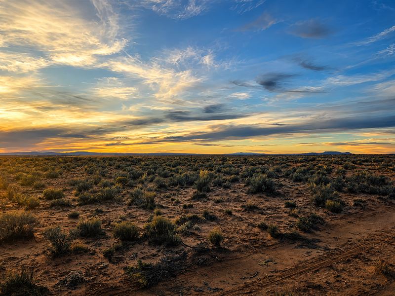Easy Access, Affordable Land in NM : Belen : Valencia County : New Mexico