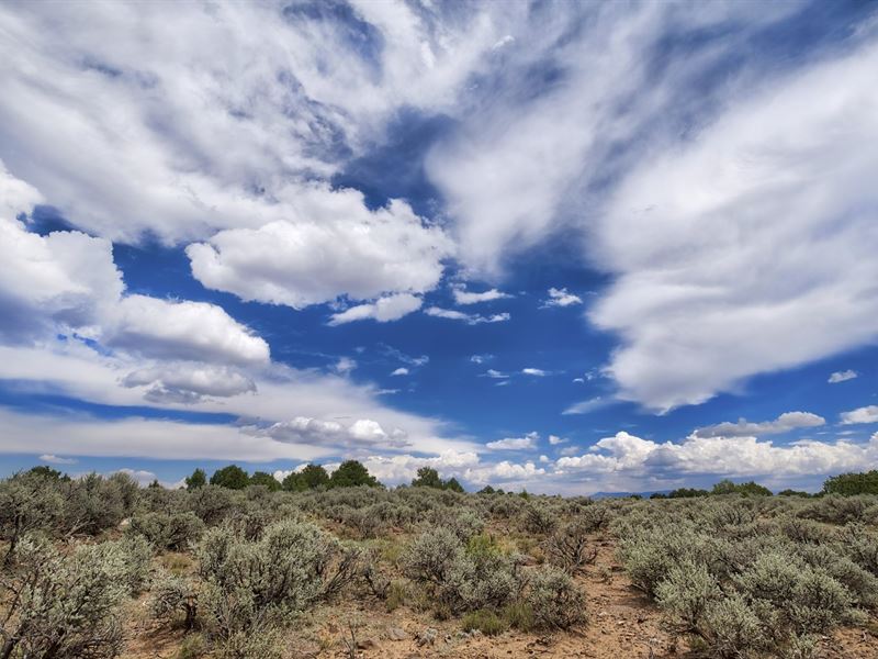 Rv Friendly Lot, 20 Mins From Taos : Tres Piedras : Taos County : New Mexico