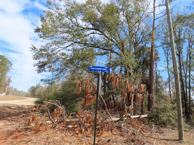 8.2 Acres of Land in The Rolling HI : Jennings : Hamilton County : Florida