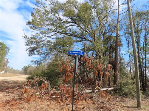 8.2 Acres of Land in The Rolling HI : Jennings : Hamilton County : Florida