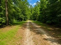 Hidden Homesite Gem : McComb : Pike County : Mississippi