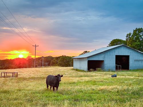 Southern Missouri Farmhouse : Hartville : Wright County : Missouri