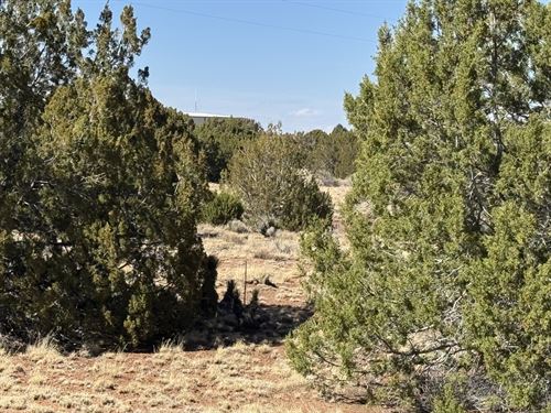 Corner Lot with Power and Water : Concho : Apache County : Arizona