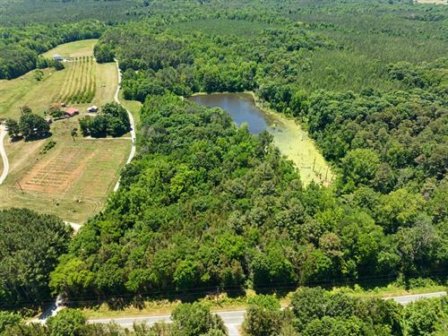 Large Acreage in Southern Alamance : Graham : Alamance County : North Carolina