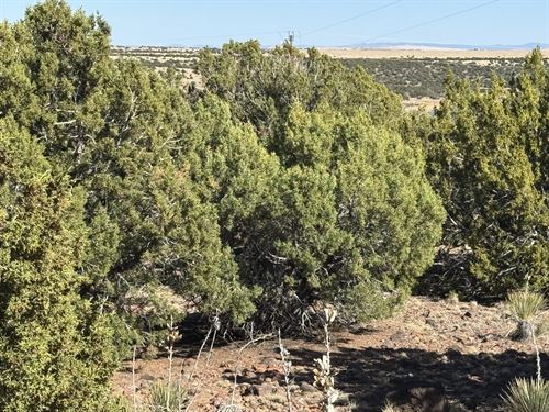 Hilltop Lot with Power and Water : Concho : Apache County : Arizona