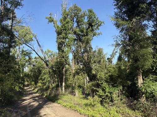 Escape The Noise and Enjoy : Live Oak : Suwannee County : Florida