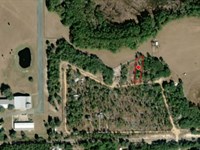 Half Acre in Interlachen : Interlachen : Putnam County : Florida