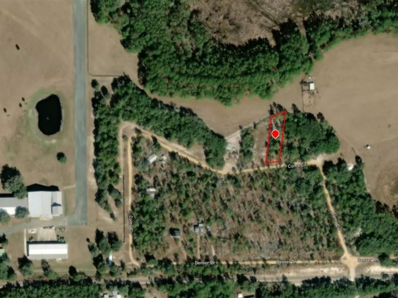 Half Acre in Interlachen : Interlachen : Putnam County : Florida