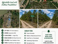 Half Acre in Interlachen : Interlachen : Putnam County : Florida