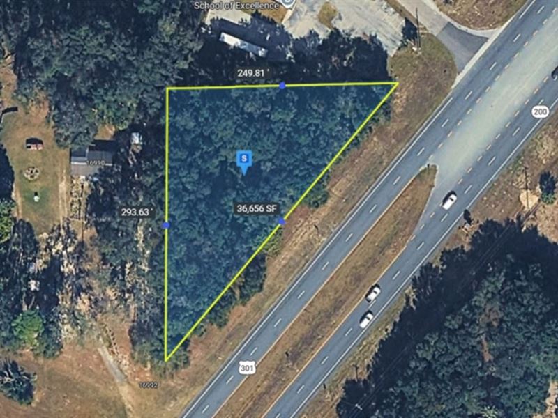 Almost 1 Acre on US 301 in Citra FL : Citra : Marion County : Florida