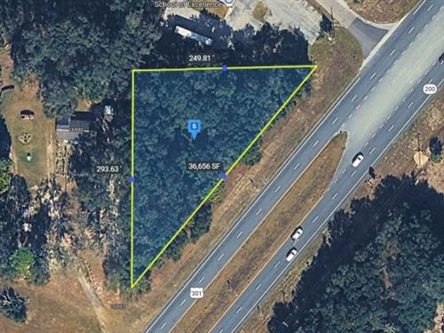 Almost 1 Acre on US 301 in Citra FL : Citra : Marion County : Florida