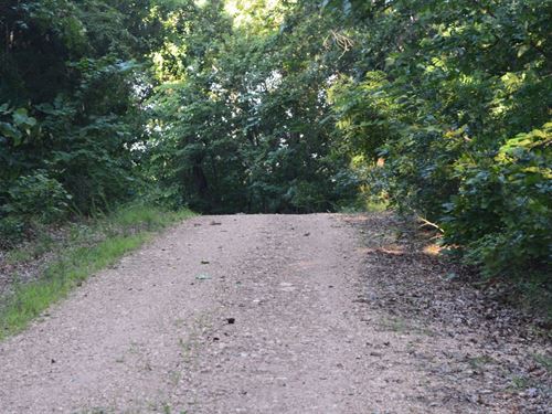 40 Acres in Cozahome : Harriet : Marion County : Arkansas