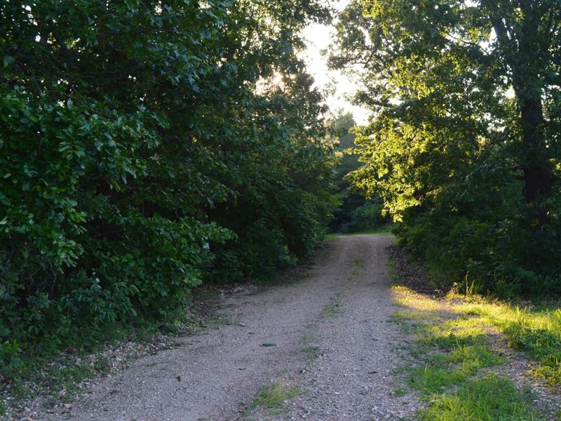100 Acres in Cozahome : Harriet : Marion County : Arkansas