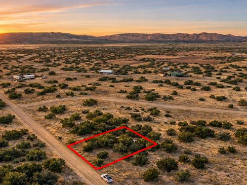 .25 Acre Mountain Retreat : Concho : Apache County : Arizona
