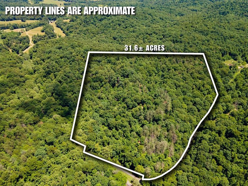 Long Hollow Rd, 31 Acres : Pomeroy : Meigs County : Ohio