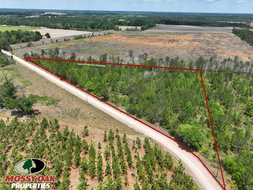 6.34 Ac Land For Sale on Holland : Surrency : Appling County : Georgia