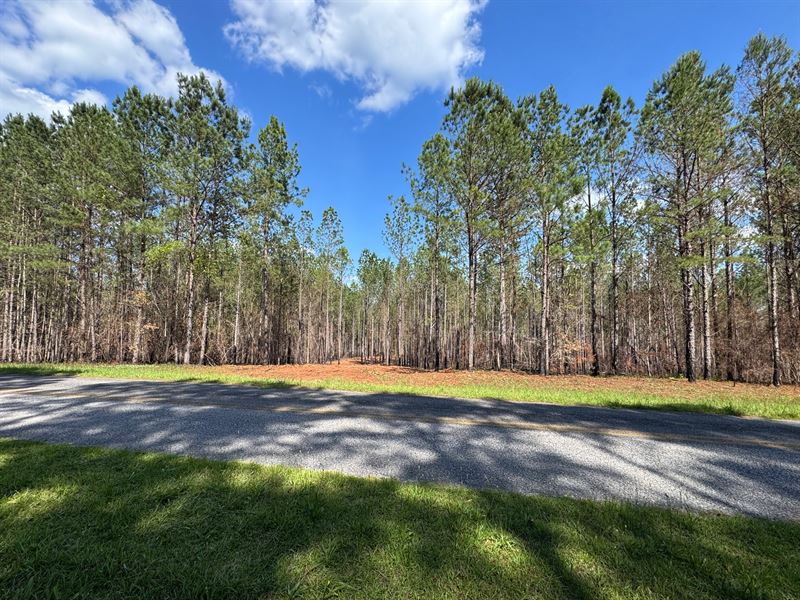 58.47 Acres Close to Lake Martin : Dadeville : Tallapoosa County : Alabama