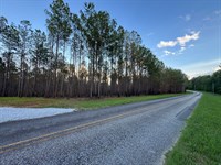 16.07 AC Close to Lake Martin : Dadeville : Tallapoosa County : Alabama