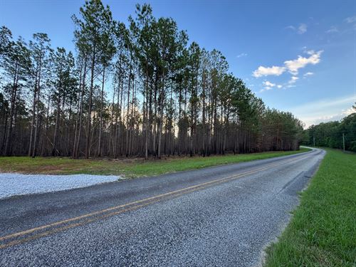 16.07 AC Close to Lake Martin : Dadeville : Tallapoosa County : Alabama