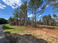 32.18 Acre Close to Lake Marti : Dadeville : Tallapoosa County : Alabama
