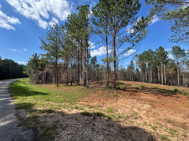 32.18 Acre Close to Lake Marti : Dadeville : Tallapoosa County : Alabama