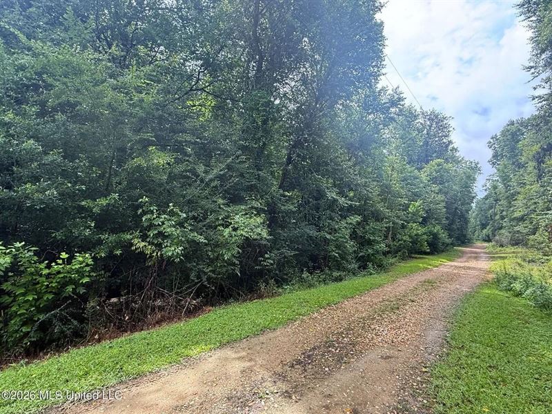 Waterfront Lot on The Bogue Chitto : Summit : Pike County : Mississippi