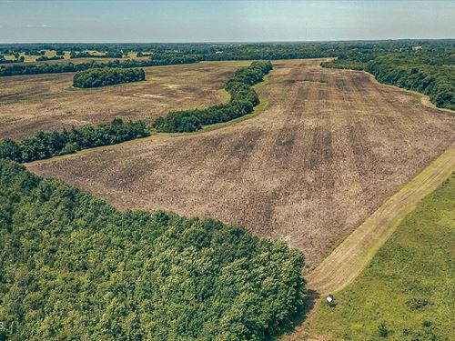 527 Acres Black Belt Prairie Clay : West Point : Clay County : Mississippi