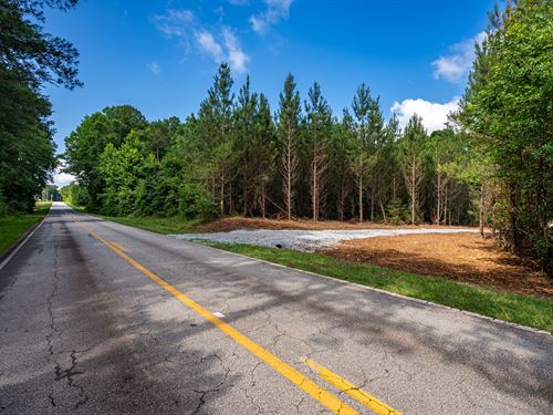 Brewer's Bridge Road Tract 2 : Elberton : Elbert County : Georgia