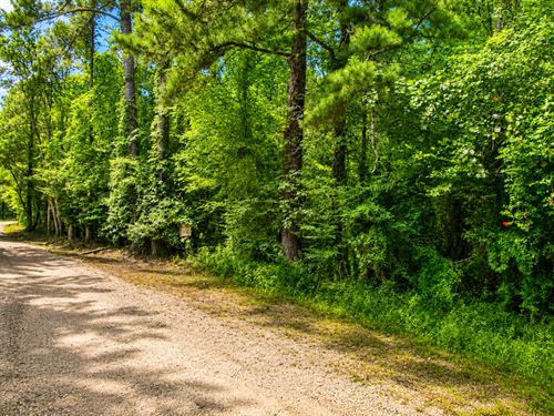 Louisiana Trophy Retreat : Amite : Tangipahoa Parish : Louisiana