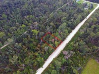Suwannee River Park Estates Lot : Live Oak : Suwannee County : Florida