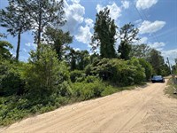 Live Near Lake Ocklawaha : Fort Mc Coy : Marion County : Florida