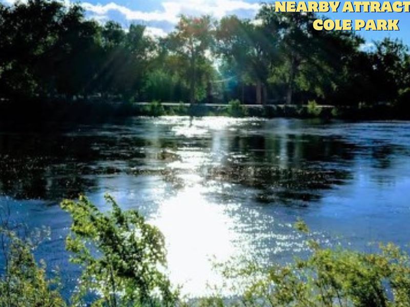 This Summer- Double Lot Frenzy : Mesita : Costilla County : Colorado