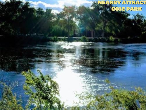 This Summer- Double Lot Frenzy : Mesita : Costilla County : Colorado