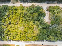 .22 Acre Florida Lot with Owner Fi : Interlachen : Putnam County : Florida