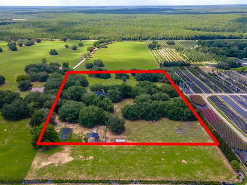 Umatilla FL Luxury Estate Auction : Umatilla : Marion County : Florida