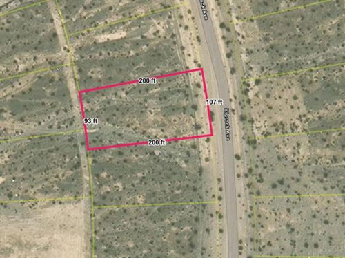 .46 Acres in Pahrump, Nevada : Pahrump : Nye County : Nevada