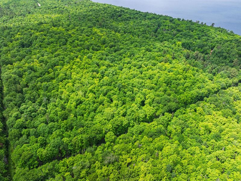 Prime Northern WI Acreage : Phelps : Vilas County : Wisconsin