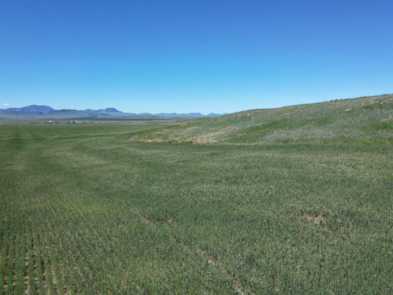 Prime 200 Acres-Ulm MT : Cascade : Cascade County : Montana